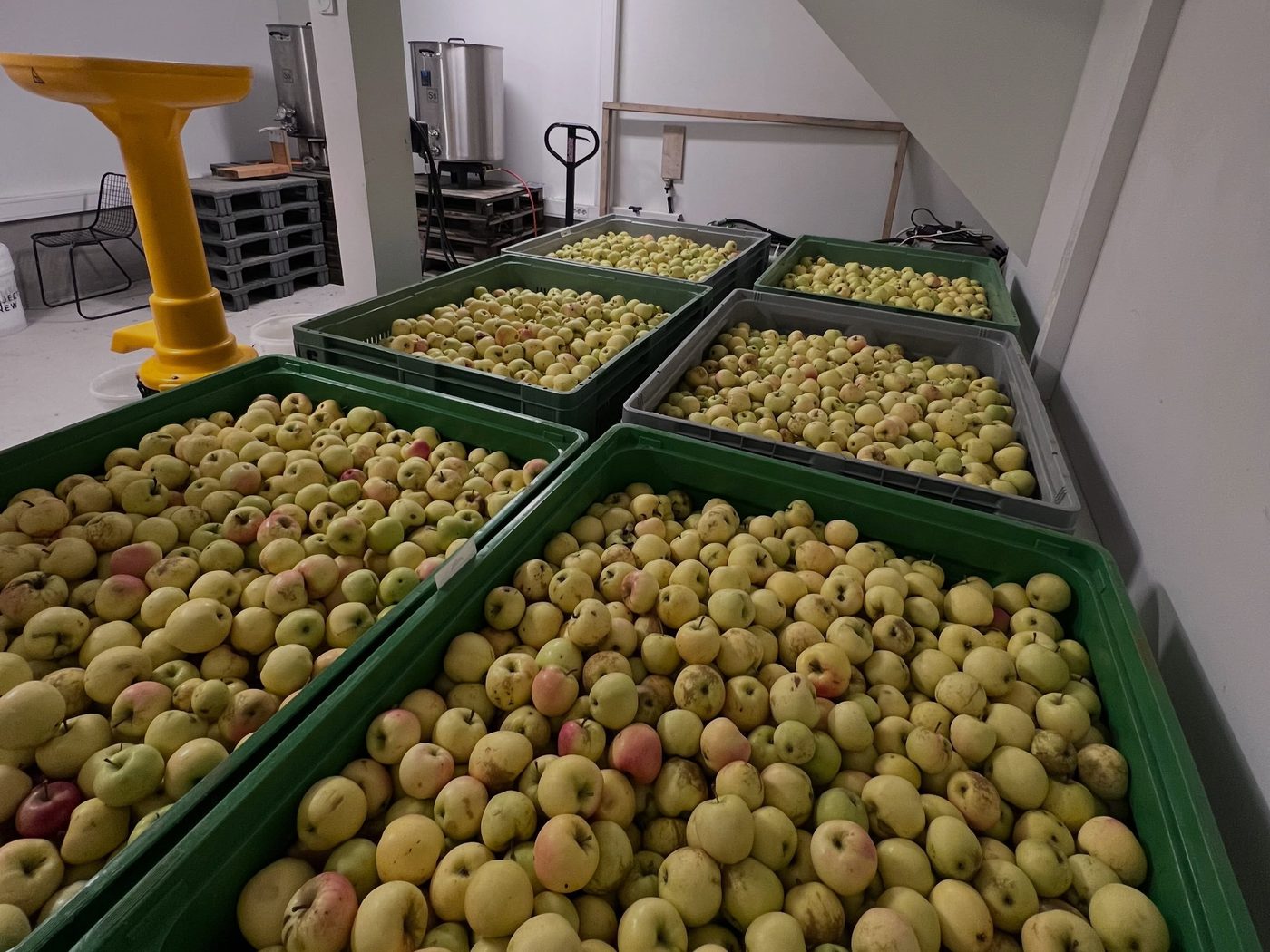 Trekasser fulle av nyplukkede epler
